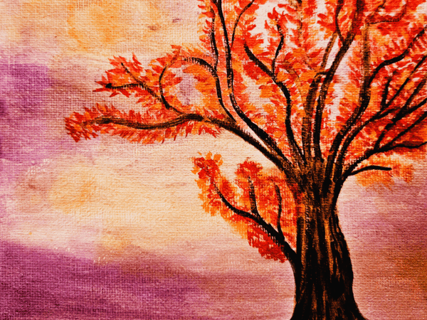 A vibrant autumn tree with fiery red leaves against a sunset sky.