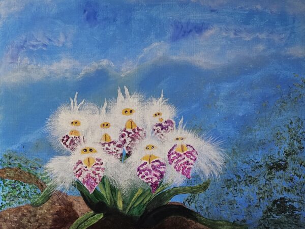 Fluffy white orchids with purple patterned lips
